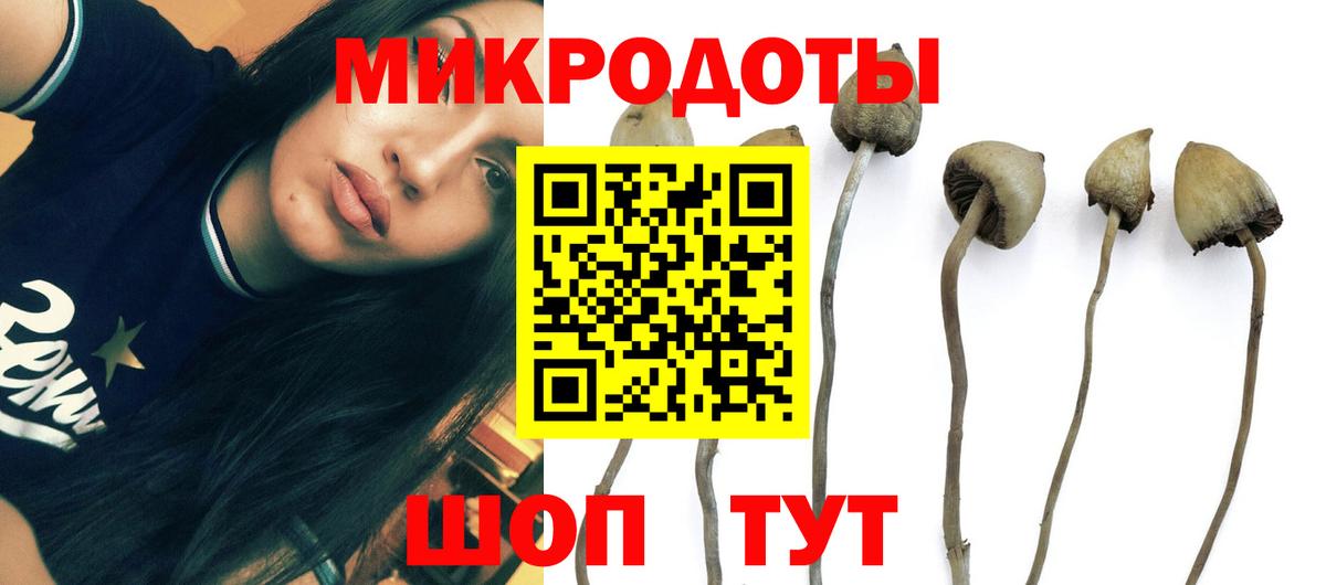 Галлюциногенные грибы Cubensis Шарыпово